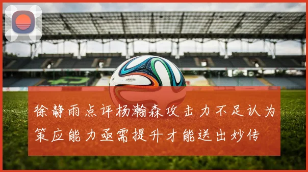 徐静雨点评杨瀚森攻击力不足认为策应能力亟需提升才能送出妙传
