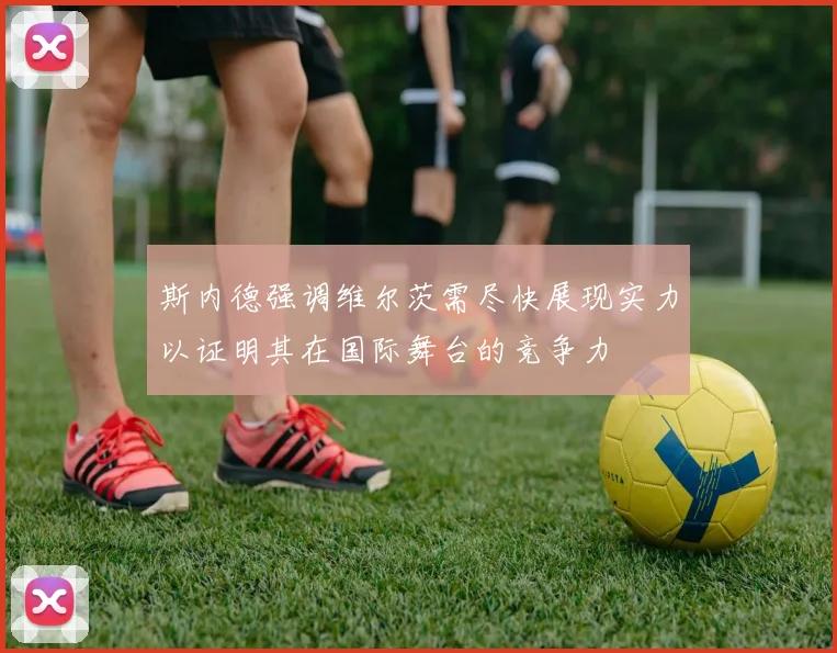 斯内德强调维尔茨需尽快展现实力以证明其在国际舞台的竞争力