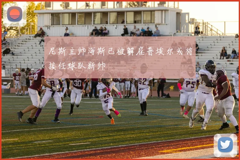 尼斯主帅海斯已被解雇普埃尔或将接任球队新帅