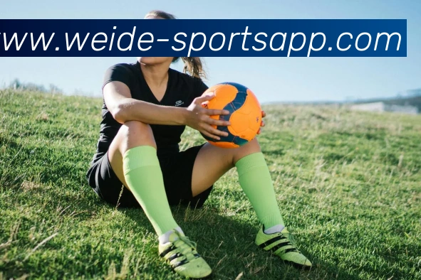 App Interface Preview