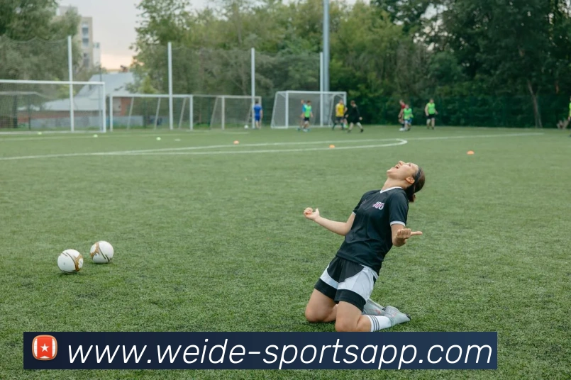 伟德体育APP 封面图