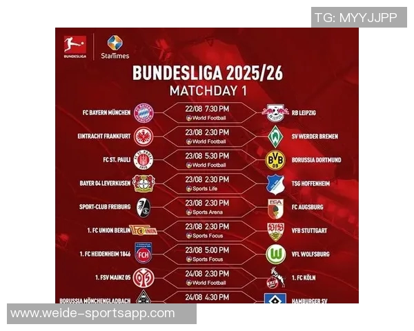 德甲球队身价排行榜揭晓拜仁遥遥领先多特药厂莱比锡紧随其后